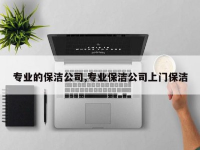 专业的保洁公司,专业保洁公司上门保洁