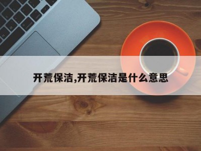 开荒保洁,开荒保洁是什么意思
