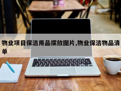物业项目保洁用品摆放图片,物业保洁物品清单