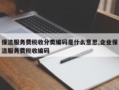 保洁服务费税收分类编码是什么意思,企业保洁服务费税收编码