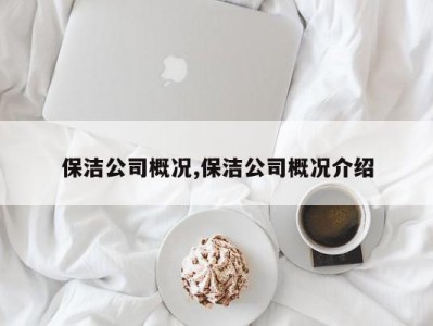 保洁公司概况,保洁公司概况介绍