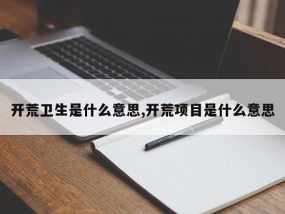 开荒卫生是什么意思,开荒项目是什么意思