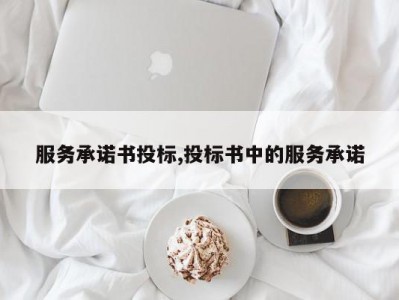服务承诺书投标,投标书中的服务承诺