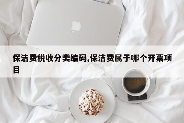保洁费税收分类编码,保洁费属于哪个开票项目